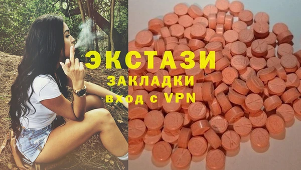 шишки Лагань