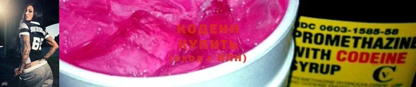шишки Лагань