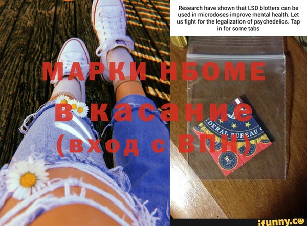 шишки Лагань