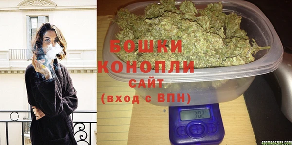шишки Лагань